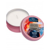 Массажная свеча  Фруктовая фантазия - БиоМед - купить с доставкой в Петропавловске-Камчатском