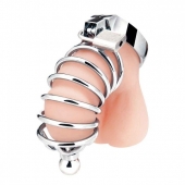 Серебристая клетка для члена Urethral Play Cage - BlueLine - купить с доставкой в Петропавловске-Камчатском