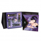 Подарочный набор Geishas secret из 5 предметов - Shunga - купить с доставкой в Петропавловске-Камчатском