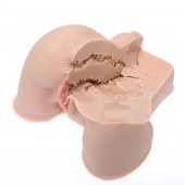 Мастурбатор-полуторс Naked Factory Kate - Naked Factory - в Петропавловске-Камчатском купить с доставкой