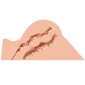 Мастурбатор-полуторс Naked Factory Hannah - Naked Factory - в Петропавловске-Камчатском купить с доставкой