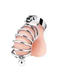 Серебристая клетка для члена Urethral Play Cage - BlueLine - купить с доставкой в Петропавловске-Камчатском