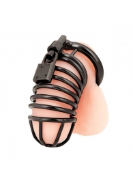 Черная металлическая клетка с замком Deluxe Chastity Cage - BlueLine - купить с доставкой в Петропавловске-Камчатском