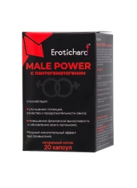 Капсулы для мужчин Erotichard male power с пантогематогеном - 20 капсул (0,370 гр.) - Erotic Hard - купить с доставкой в Петропавловске-Камчатском