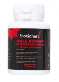 Капсулы для мужчин Erotichard male power с пантогематогеном - 20 капсул (0,370 гр.) - Erotic Hard - купить с доставкой в Петропавловске-Камчатском