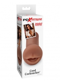 Мастурбатор-ротик Coed Cocksucker - Pipedream - в Петропавловске-Камчатском купить с доставкой