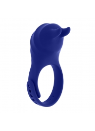 Синее эрекционное виброкольцо с клиторальной подушечкой и пультом ДУ Adjustable Fun Ring - Zero Tolerance - в Петропавловске-Камчатском купить с доставкой