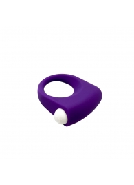 Фиолетовое эрекционное кольцо Puggle Vibrating Ring with Bullet - Adrien Lastic - в Петропавловске-Камчатском купить с доставкой