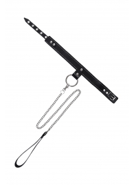 Черный узкий однослойный ошейник с серебристым поводком-цепочкой - Pecado - купить с доставкой в Петропавловске-Камчатском