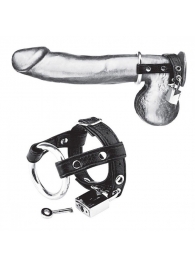 Утяжка на пенис на замочке Duo Cock And Ball Lock - BlueLine - купить с доставкой в Петропавловске-Камчатском