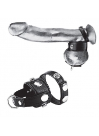 Утяжка для мошонки и пениса Cock Ring With 1  Ball Stretcher And Optional Weight Ring - BlueLine - купить с доставкой в Петропавловске-Камчатском