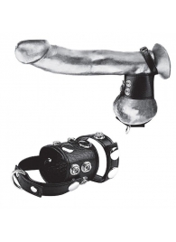 Утяжка на пенис и мошонку Cock Ring With 1.5  Ball Stretcher And Optional Weight Ring - BlueLine - купить с доставкой в Петропавловске-Камчатском