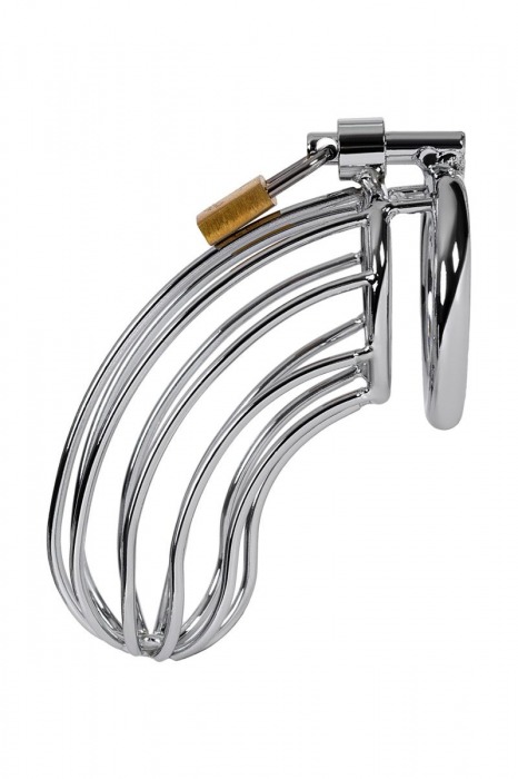 Серебристый пояс верности TOYFA на замочке - ToyFa - купить с доставкой в Петропавловске-Камчатском