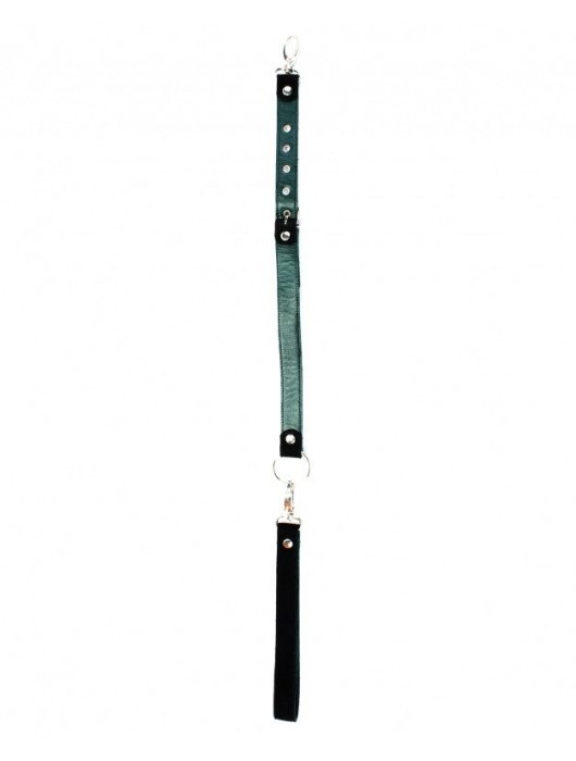 Изумрудный поводок для ошейника Ladys Arsenal - БДСМ Арсенал - купить с доставкой в Петропавловске-Камчатском