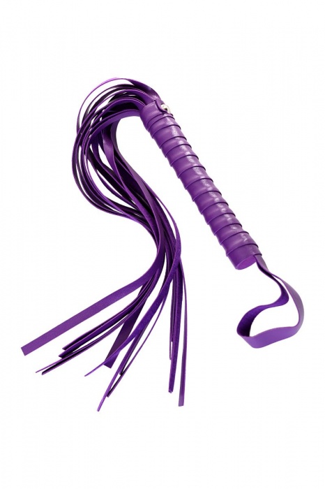 Фиолетовый набор БДСМ «Накажи меня нежно» с карточками - Штучки-дрючки - купить с доставкой в Петропавловске-Камчатском