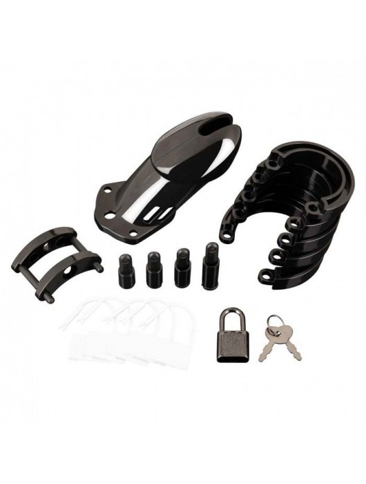 Черная акриловая клетка целомудрия для члена с замком - BlueLine - купить с доставкой в Петропавловске-Камчатском