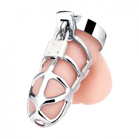 Серебристая металлическая клетка для члена с замком Enslave Cock Cage - BlueLine - купить с доставкой в Петропавловске-Камчатском