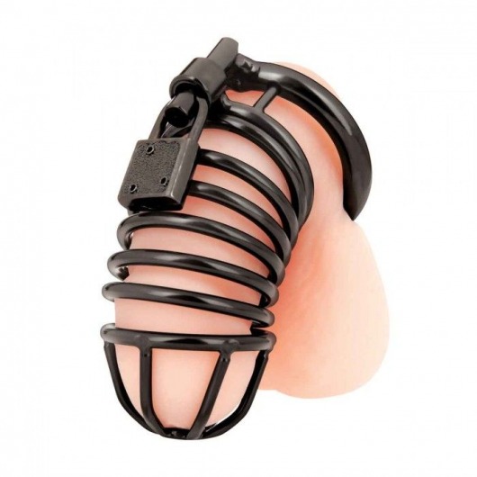 Черная металлическая клетка с замком Deluxe Chastity Cage - BlueLine - купить с доставкой в Петропавловске-Камчатском
