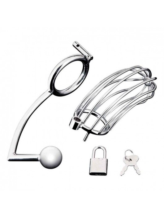 Серебристая металлическая клетка с анальным стимулятором Cock Cage - BlueLine - купить с доставкой в Петропавловске-Камчатском