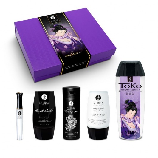Подарочный набор Naughter Kit - Shunga - купить с доставкой в Петропавловске-Камчатском