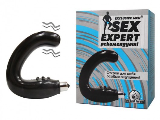 Чёрный массажёр простаты серии Sex Expert - Sex Expert - в Петропавловске-Камчатском купить с доставкой