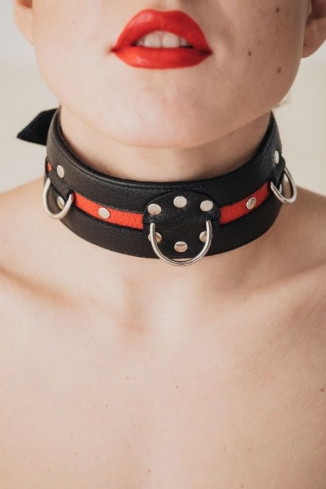 Черно-красный ошейник на пряжке - БДСМ Арсенал - купить с доставкой в Петропавловске-Камчатском