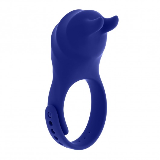 Синее эрекционное виброкольцо с клиторальной подушечкой и пультом ДУ Adjustable Fun Ring - Zero Tolerance - в Петропавловске-Камчатском купить с доставкой