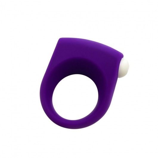 Фиолетовое эрекционное кольцо Puggle Vibrating Ring with Bullet - Adrien Lastic - в Петропавловске-Камчатском купить с доставкой