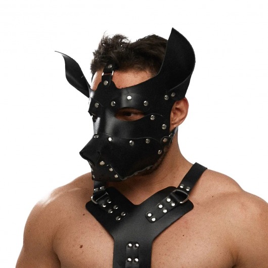 Черная кожаная маска «Собака» - Crazy Handmade - купить с доставкой в Петропавловске-Камчатском