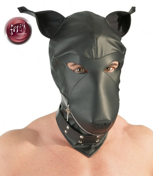 Шлем-маска Dog Mask в виде морды собаки - Orion - купить с доставкой в Петропавловске-Камчатском