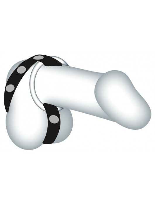 Подхват для мошонки с 3 съемными эрекционными кольцами Leder-Riemen - Orion - в Петропавловске-Камчатском купить с доставкой