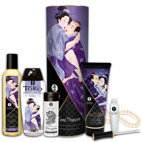 Подарочный набор CARNAL PLEASURES - Shunga - купить с доставкой в Петропавловске-Камчатском