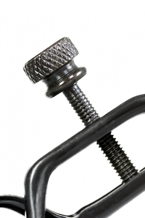 Черно-золотистые зажимы для сосков TOYFA Theatre - ToyFa - купить с доставкой в Петропавловске-Камчатском