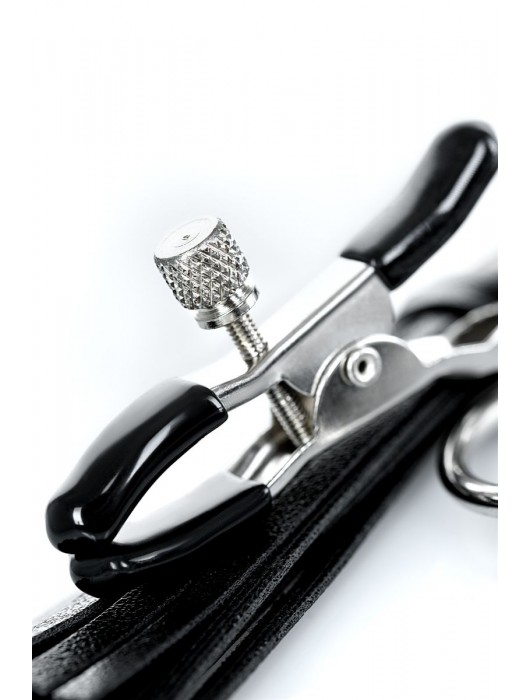 Черно-серебристые зажимы для сосков Theatre с кисточками - ToyFa - купить с доставкой в Петропавловске-Камчатском